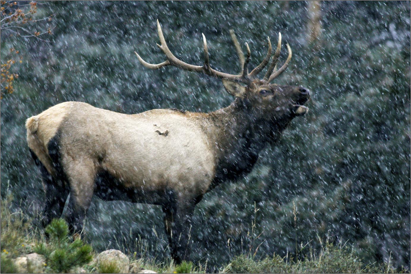 Michael Madrid Photography: slideshow image 9