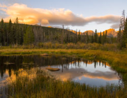 Sprague Lake