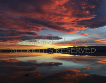Blazing Sunset