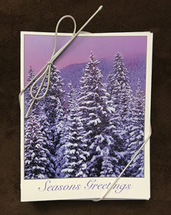 Seasons Greetings Cards