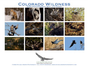 2025 Colorado Wildness Calendar - Image 3