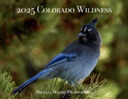 2025 Colorado Wildness Calendar