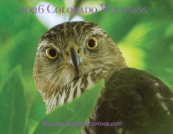 2026 Colorado Wildness Calendar